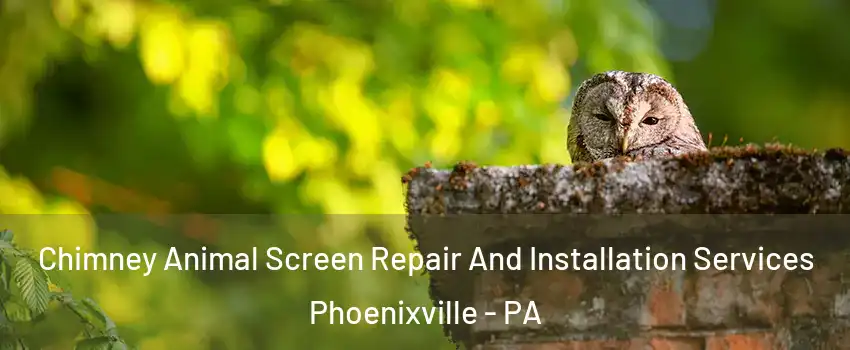  Chimney Animal Screen Repair And Installation Services Phoenixville - PA