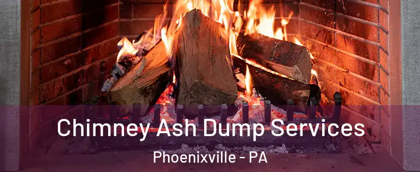 Chimney Ash Dump Services Phoenixville - PA