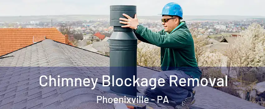  Chimney Blockage Removal Phoenixville - PA