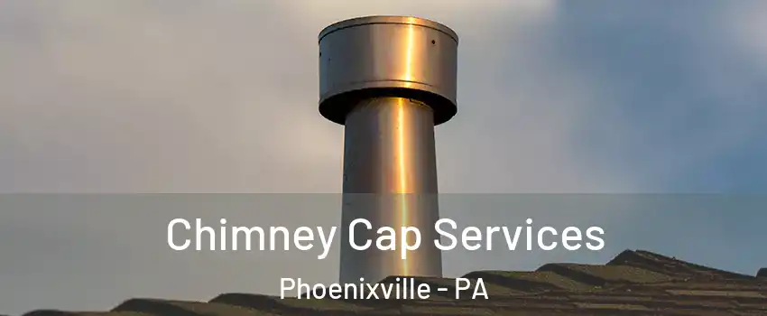 Chimney Cap Services Phoenixville - PA