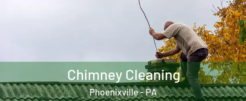  Chimney Cleaning Phoenixville - PA
