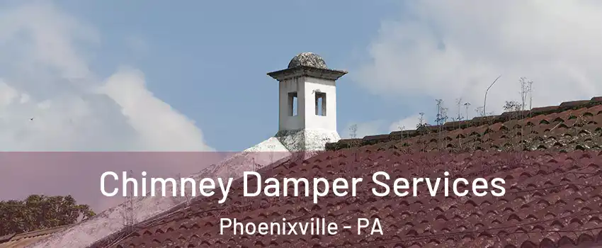  Chimney Damper Services Phoenixville - PA