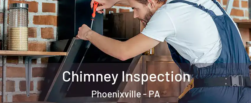 Chimney Inspection Phoenixville - PA