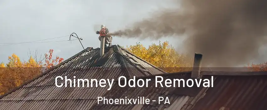  Chimney Odor Removal Phoenixville - PA