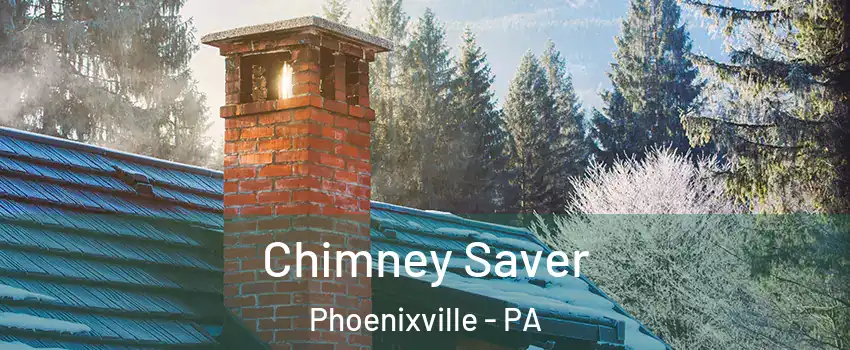  Chimney Saver Phoenixville - PA