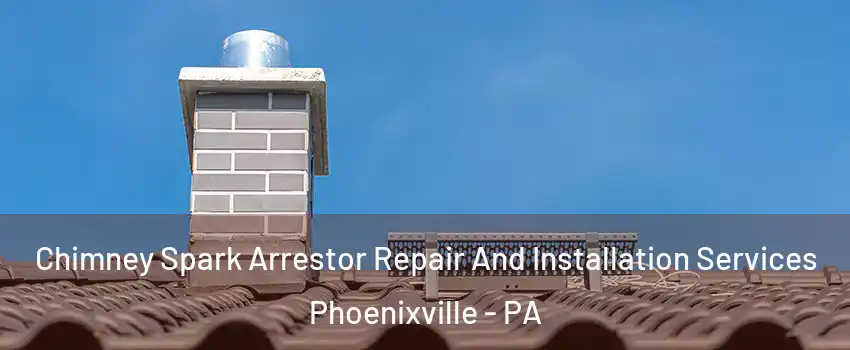 Chimney Spark Arrestor Repair And Installation Services Phoenixville - PA