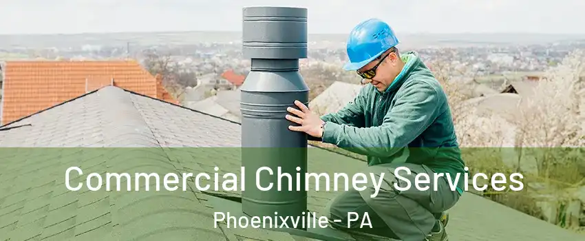  Commercial Chimney Services Phoenixville - PA