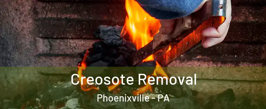 Creosote Removal Phoenixville - PA