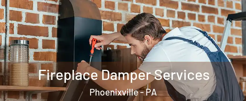  Fireplace Damper Services Phoenixville - PA