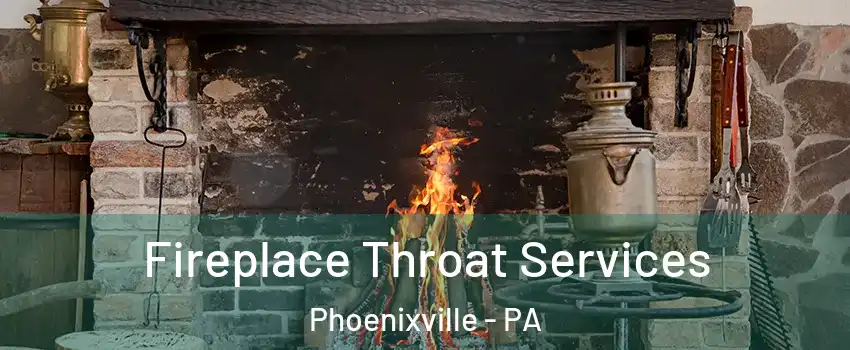  Fireplace Throat Services Phoenixville - PA