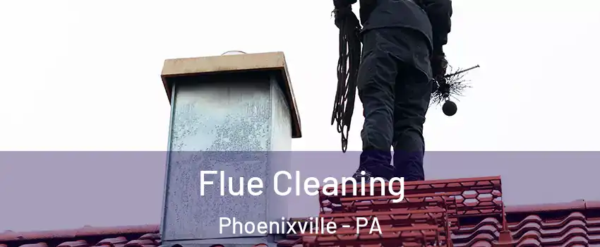  Flue Cleaning Phoenixville - PA