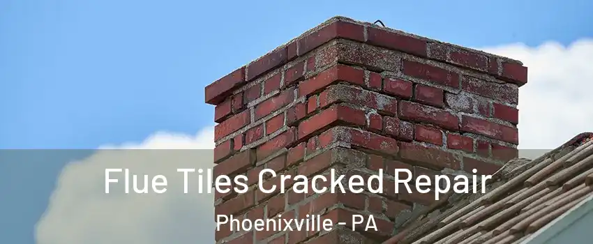  Flue Tiles Cracked Repair Phoenixville - PA