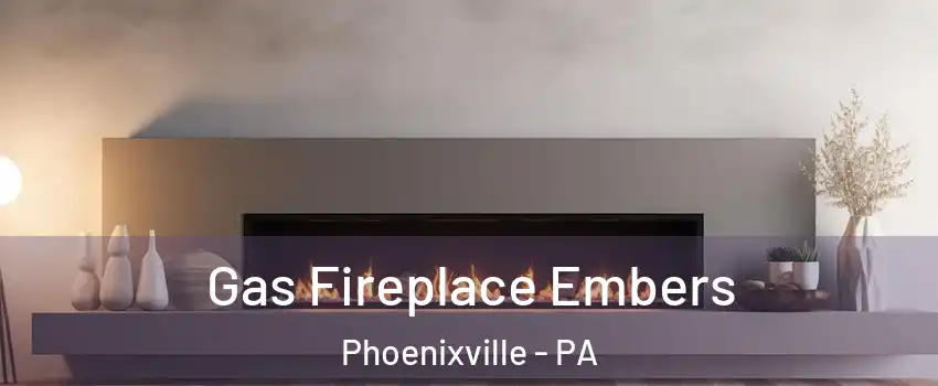  Gas Fireplace Embers Phoenixville - PA