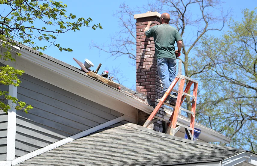 Chimney & Fireplace Inspections Services in Phoenixville, PA