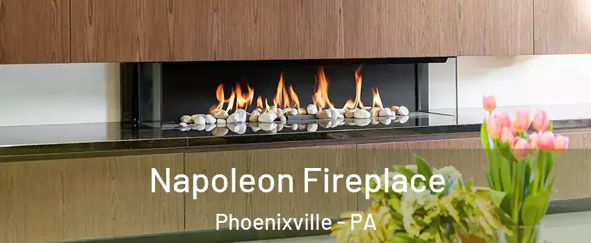 Napoleon Fireplace Phoenixville - PA