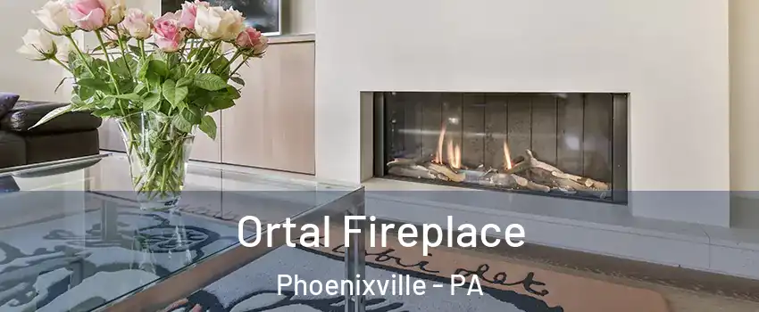  Ortal Fireplace Phoenixville - PA
