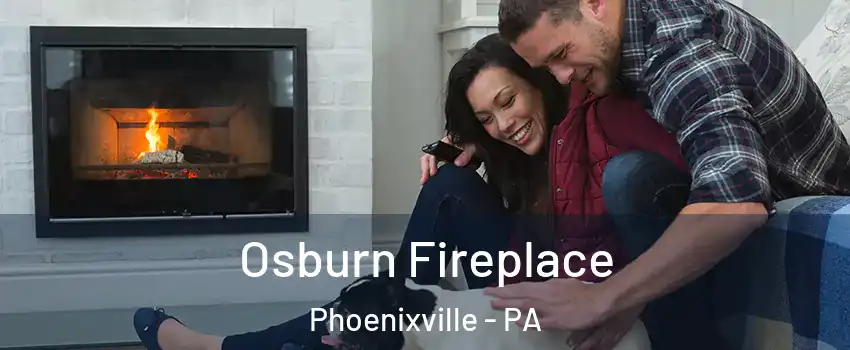  Osburn Fireplace Phoenixville - PA