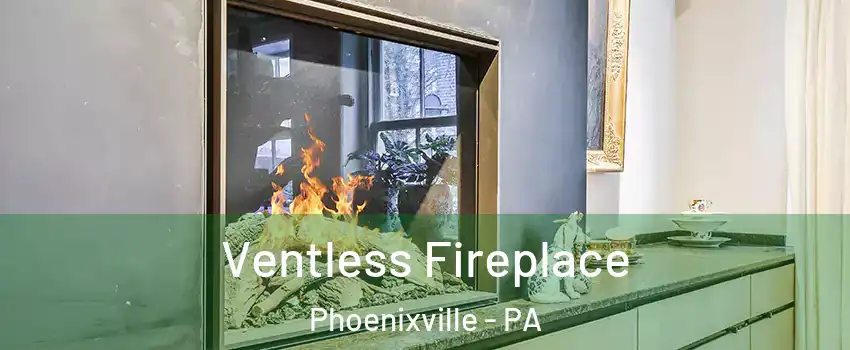  Ventless Fireplace Phoenixville - PA